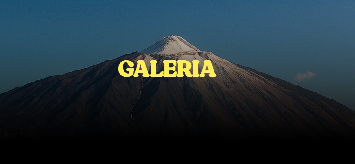 secciónde la web Madeintenerife